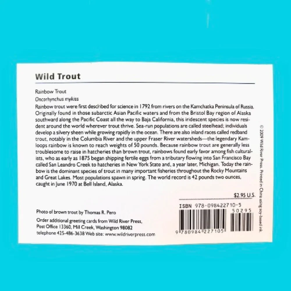 WILD TROUT Stationery Note Greeting Cards Blank 12 Cards + Envelopes Box